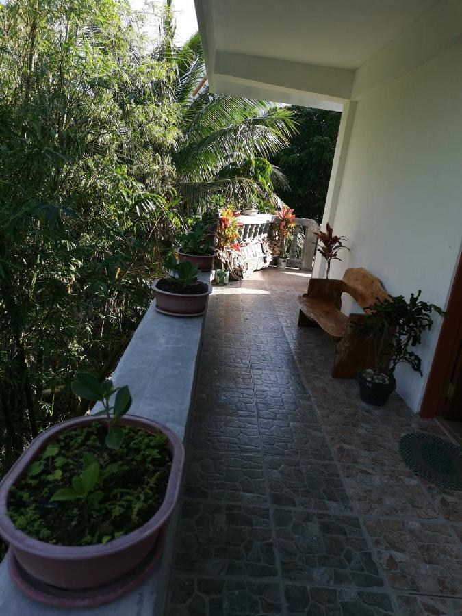Anvel Homestay Basco Luaran gambar